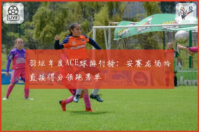 羽坛年度ACE球排行榜：安赛龙场均直接得分领跑男单