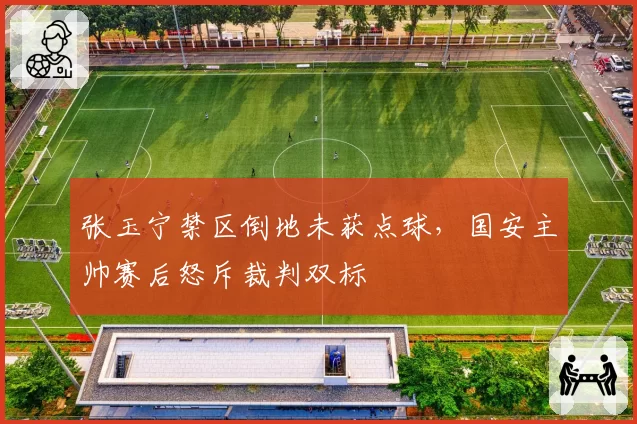 张玉宁禁区倒地未获点球,国安主帅赛后怒斥裁判双标