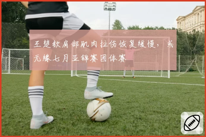 王楚钦肩部肌肉拉伤恢复缓慢,或无缘七月亚锦赛团体赛