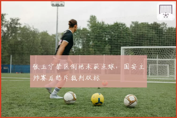 张玉宁禁区倒地未获点球,国安主帅赛后怒斥裁判双标
