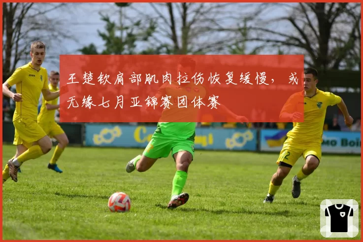 王楚钦肩部肌肉拉伤恢复缓慢,或无缘七月亚锦赛团体赛